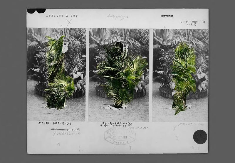 © Inés Molina Navea