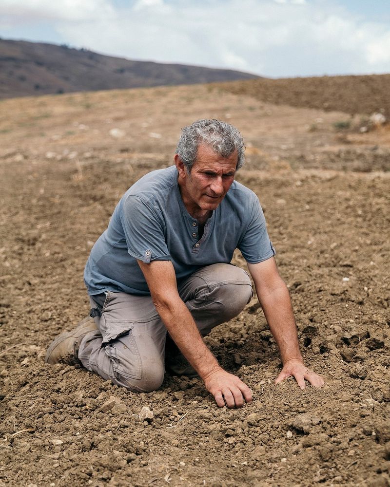 © Roselena Ramistella