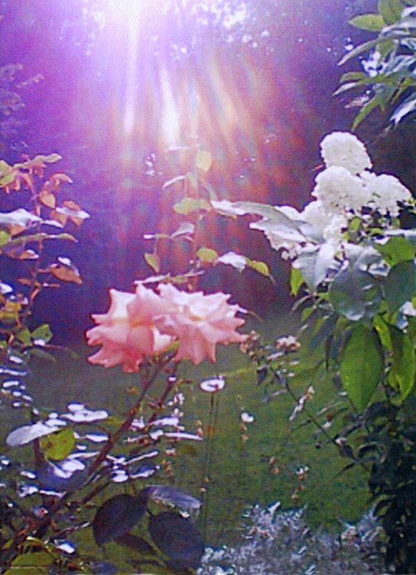 © Paddy Summerfield