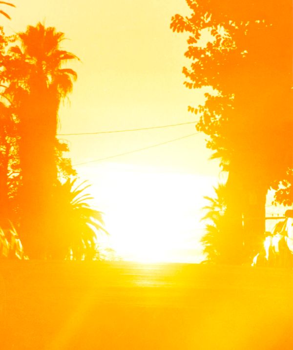 © Sébastien Reuzé