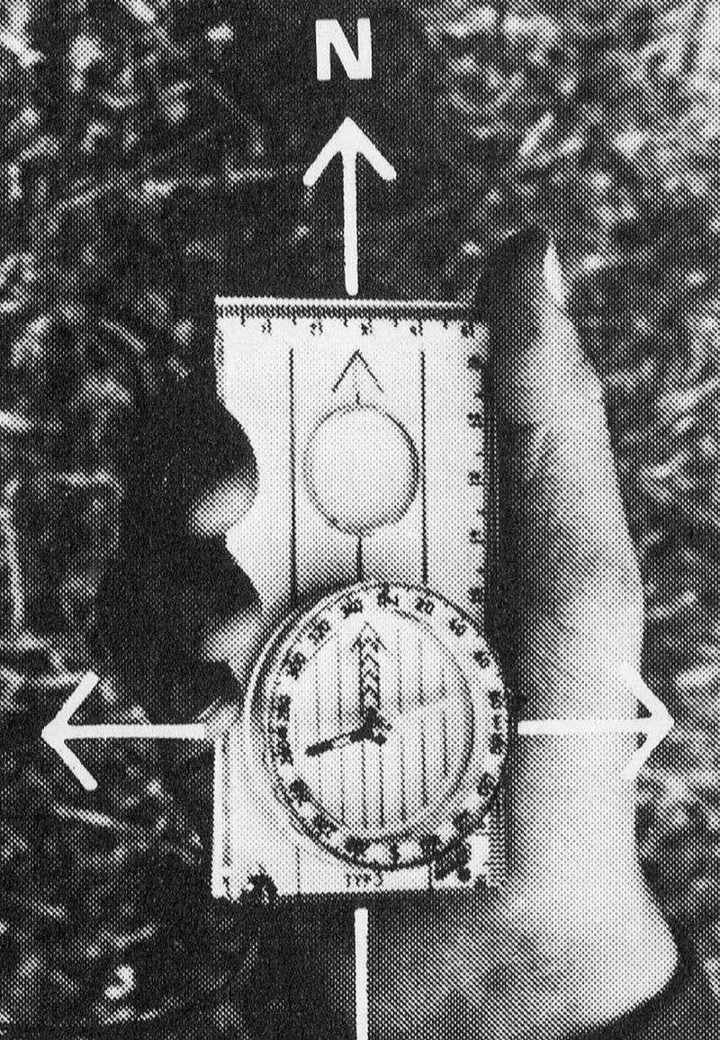 © Lalie Thébault Maviel