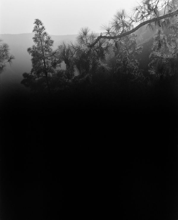 © Awoiska van der Molen