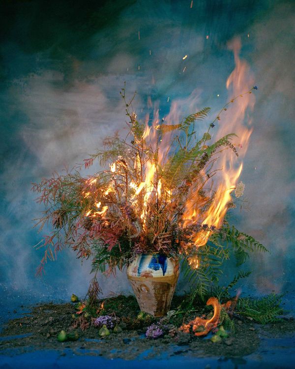 © Bego Anton