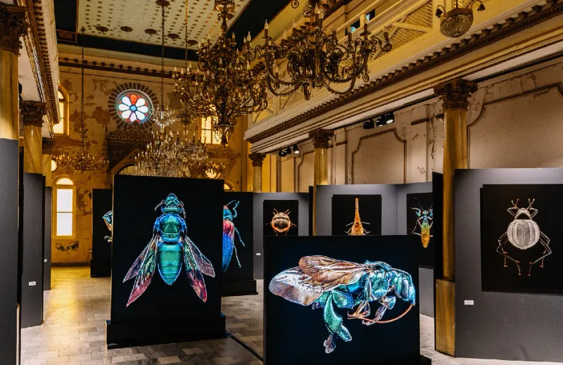 © 212 Photography Istanbul