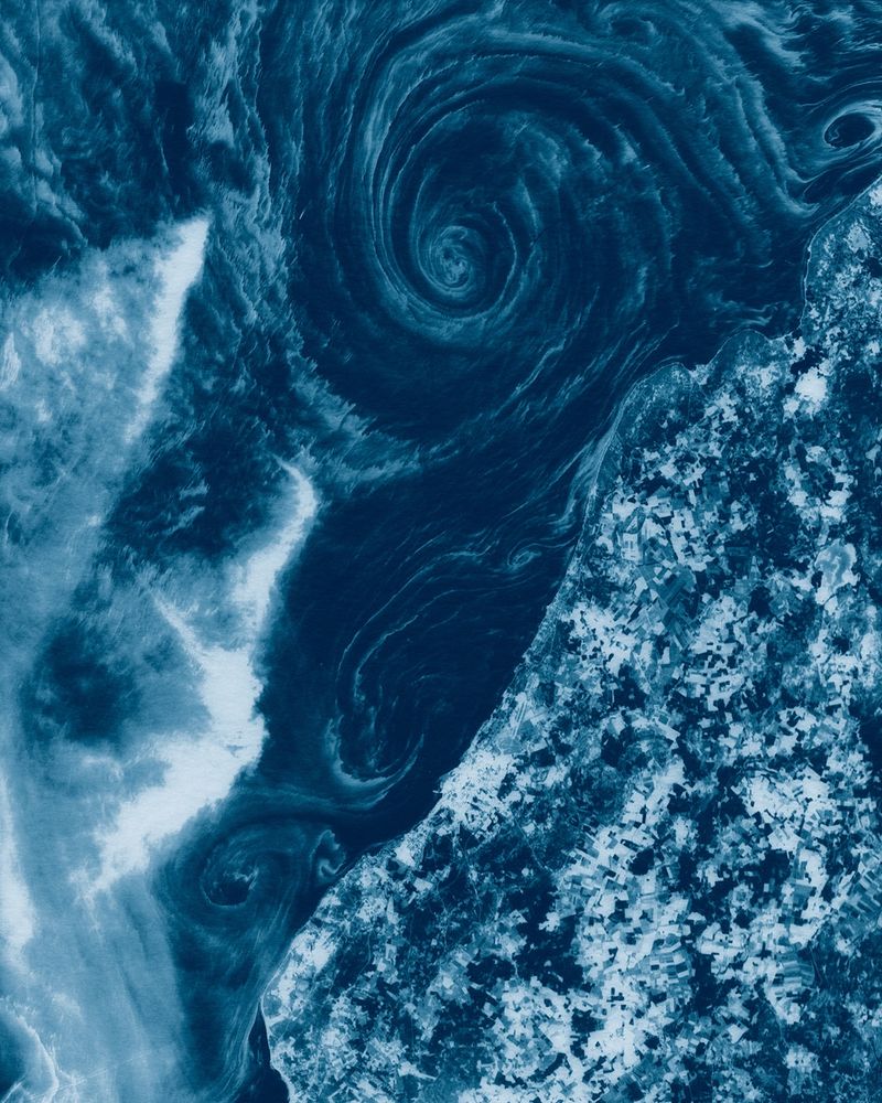 © Małgorzata Stankiewicz