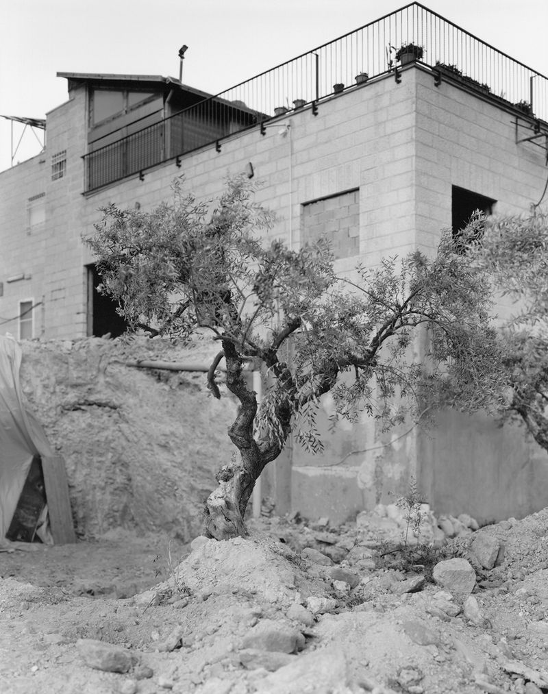 © Adam Broomberg and Rafael Gonzalez