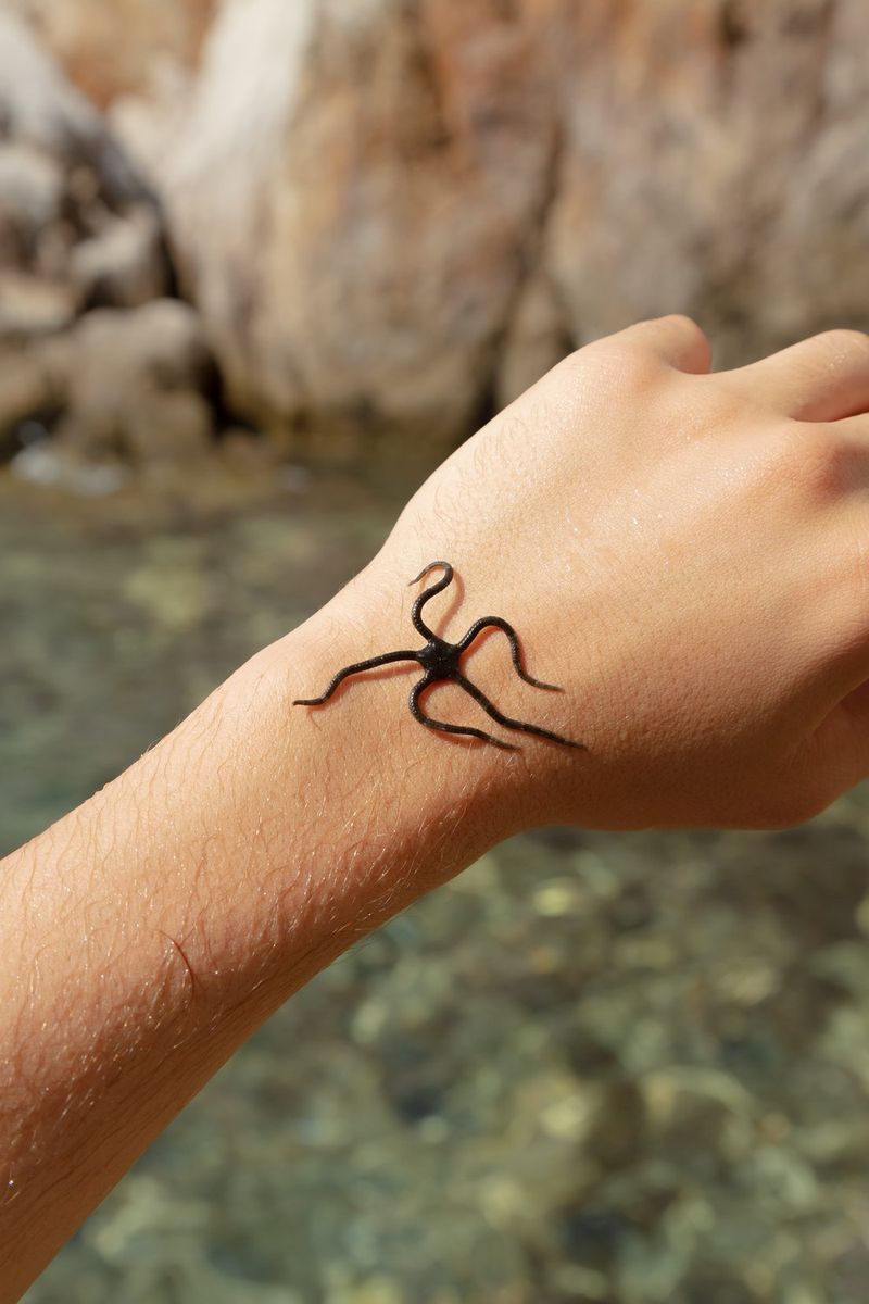 © Christopher Barraja