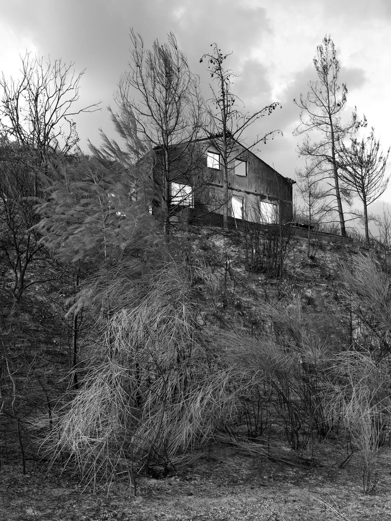 © Jakob Ganslmeier and Ana Zibelnik