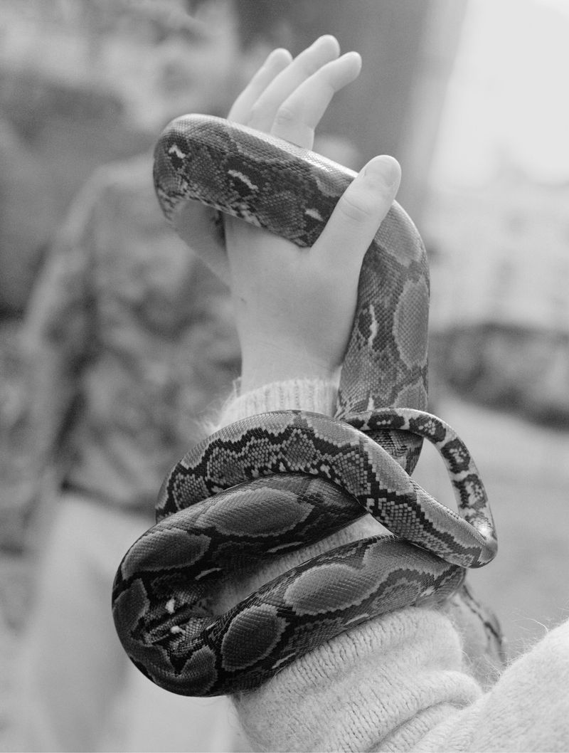 © Sabine Hess, Fotofestival Lenzburg