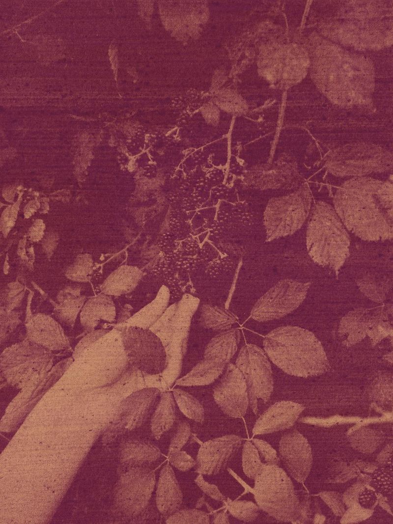 Things To Do at Paris Photo 2023 and Beyond