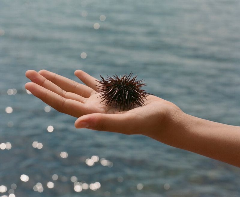 © Charles Thiefaine, Grants Ronan Guillou