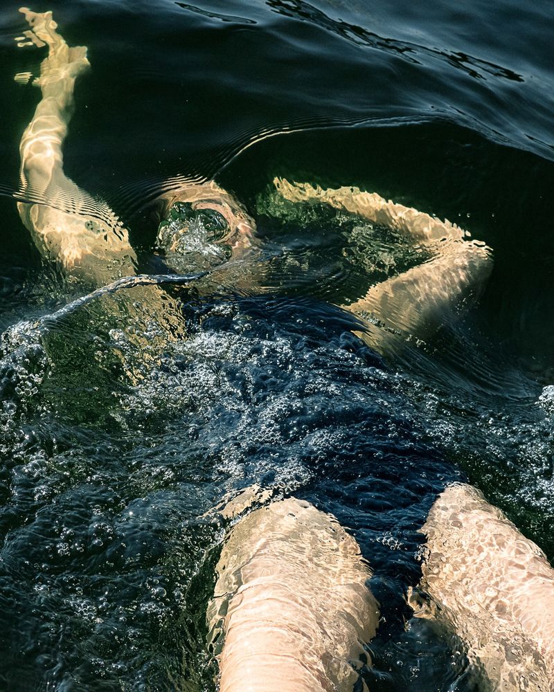 © Bjorn Nilsson, Rotterdam Photo