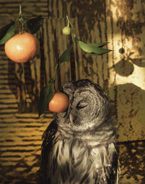 © Sheida Soleimani, MAST Foundation