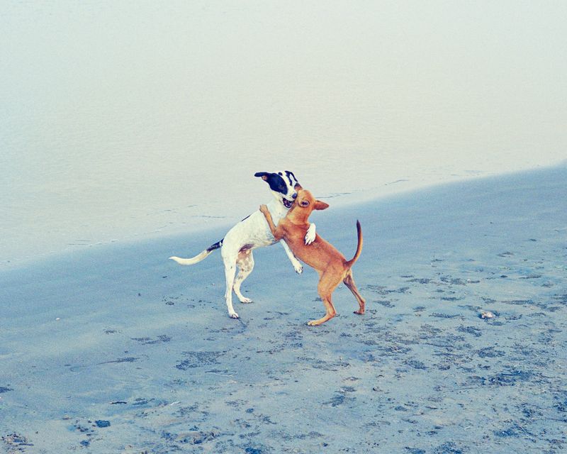 © Vasantha Yogananthan