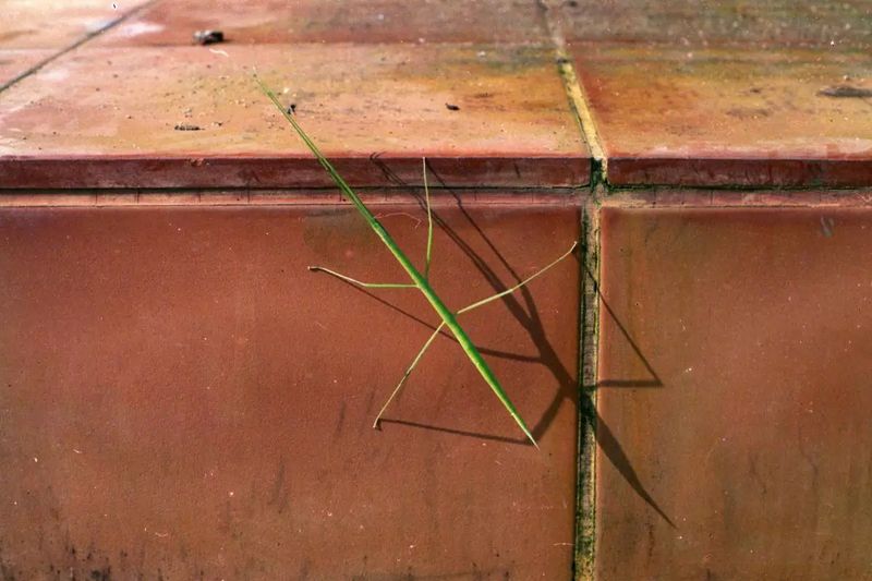 © Sathish Kumar, Serendipity Arles Grant