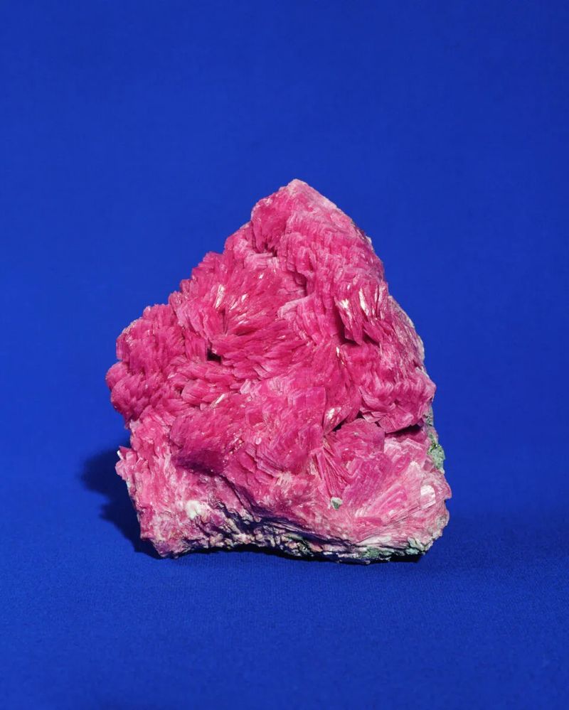 © Juliette Agnel courtesy galerie Clémentine de la Féronnière et Photo Days, Kyotographie