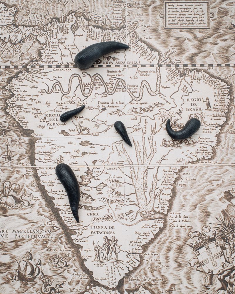 © Maximiliano Tineo