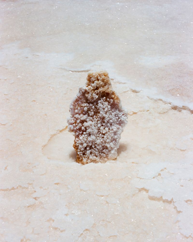 © Maximiliano Tineo