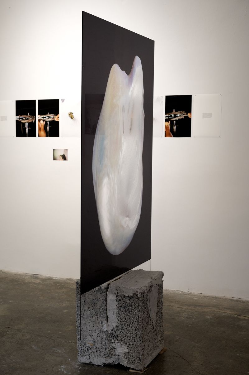Rita Puig-Serra On Her Exhibition Anatomy Of An Oyster At PhMuseum Lab
