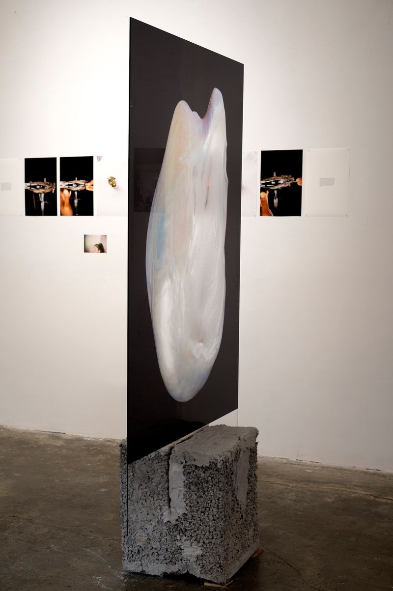 Rita Puig-Serra On Her Exhibition Anatomy Of An Oyster At PhMuseum Lab