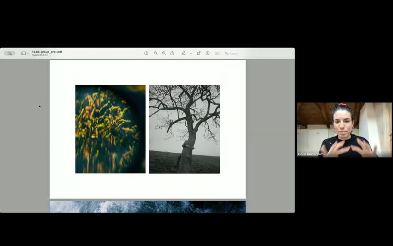 Screenshot from an Online Group Session, CRITICAE 2024/25