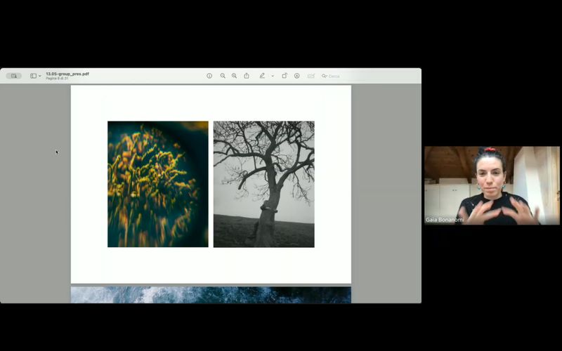 Screenshot from an Online Group Session, CRITICAE 2024/25