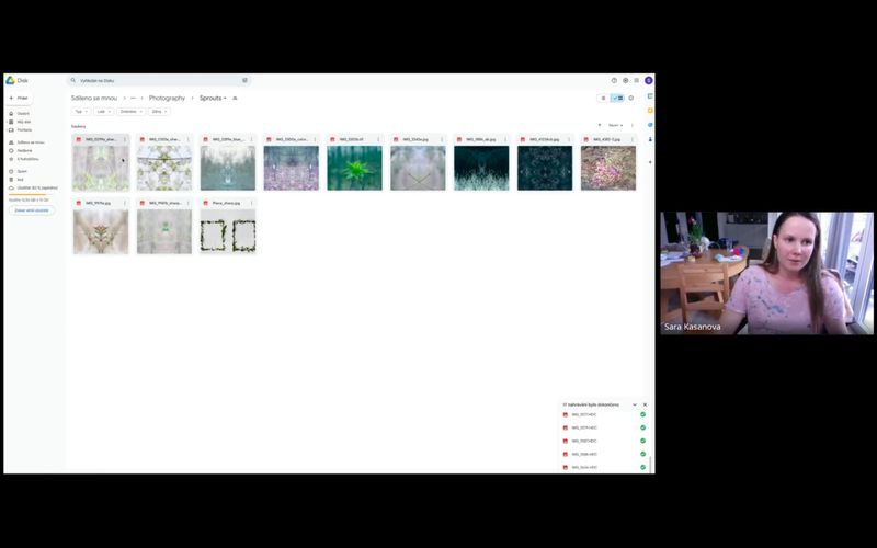 Screenshot from an Online Group Session, CRITICAE 2024/25