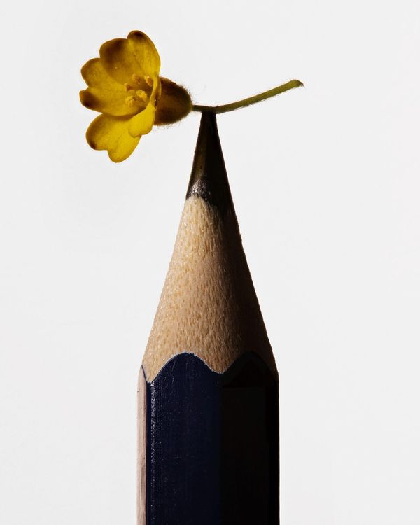 © Nicolas Polli, MBAL