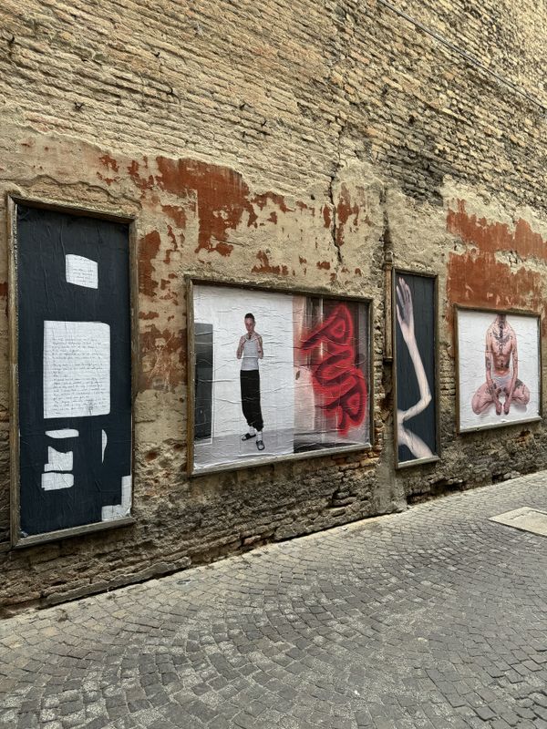 Installation view of Existential Boner by Mahalia Taje Giotto, exhibited during PhMuseum Days 2024 © PhMuseum