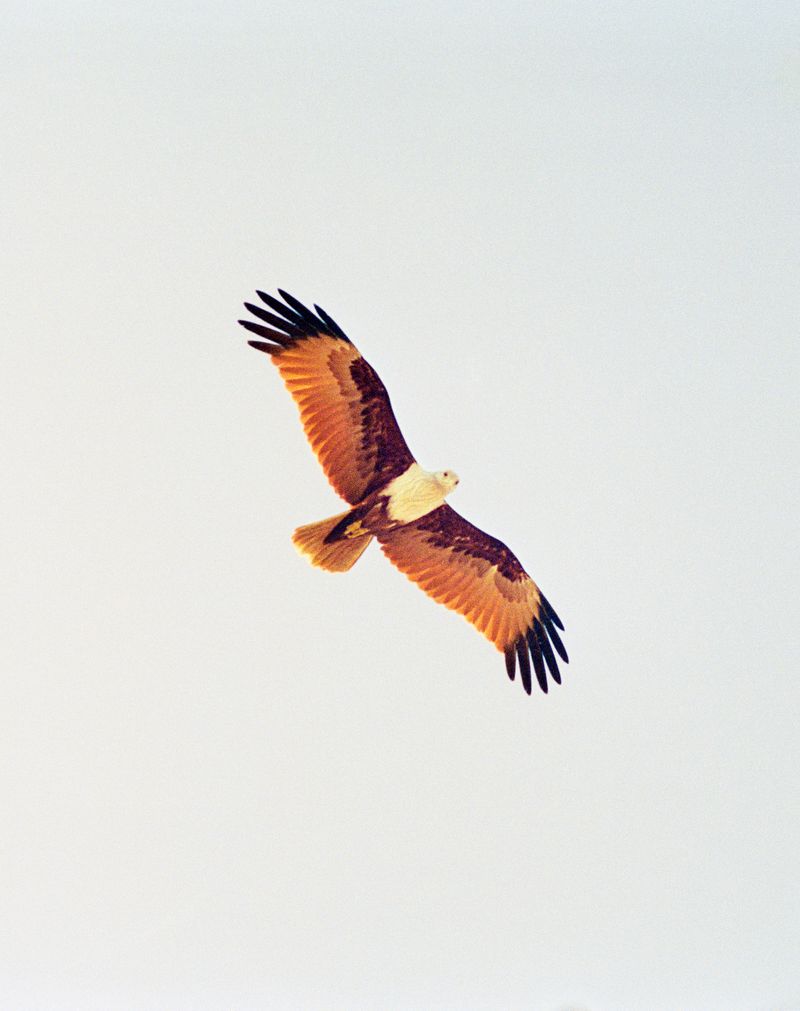 © Vasantha Yogananthan