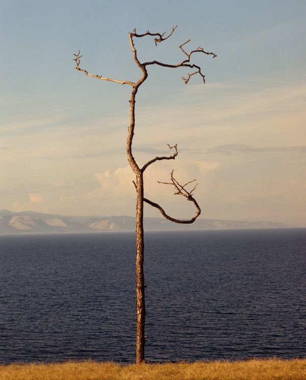 © Jamie Hawkesworth, Huxley-Parlour