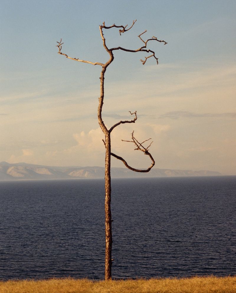 © Jamie Hawkesworth, Huxley-Parlour