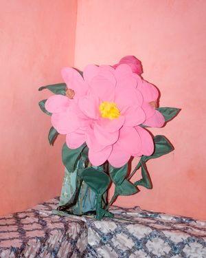 A Guide To October 2026 Photo Awards & Open Calls