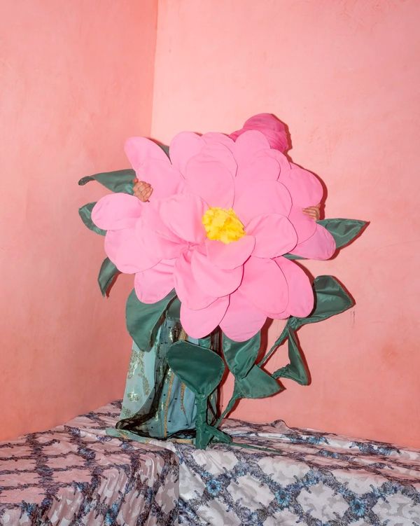 © Tamara Eckhardt, Mesnographies