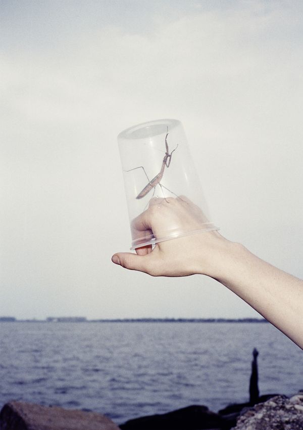 © Charlie Engman