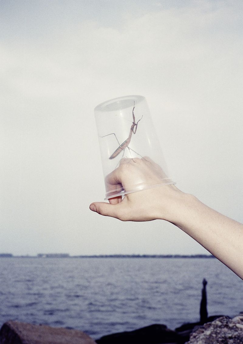 © Charlie Engman