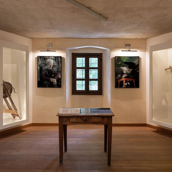 It Takes All Kinds by Greta Valente, exhibited at Antica Latteria di Étroubles, Aosta, Italy