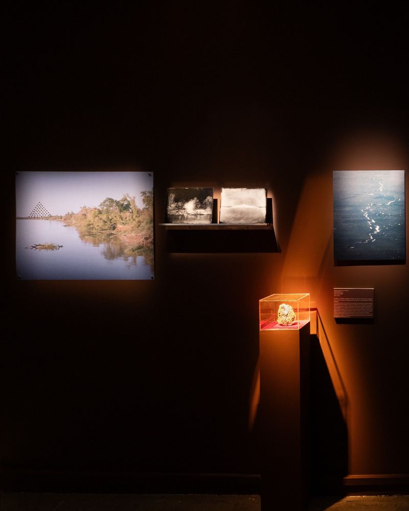 El Rey Blanco by Maximiliano Tineo, exhibited at Circulation(s), Paris, France