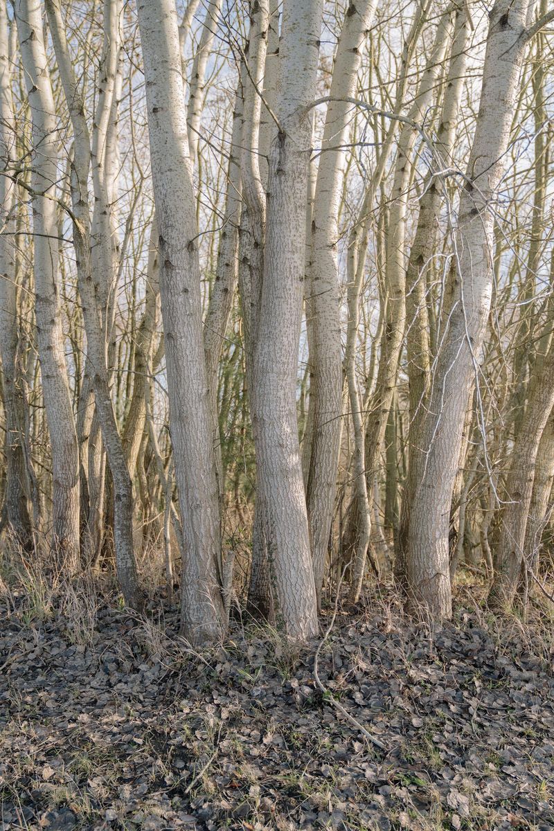 © Teresa Halbreiter, Nikon Fotobus Grant