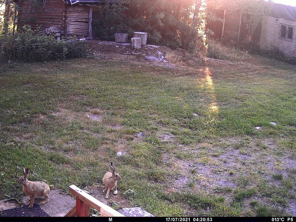 © Utu-Tuuli Jussila