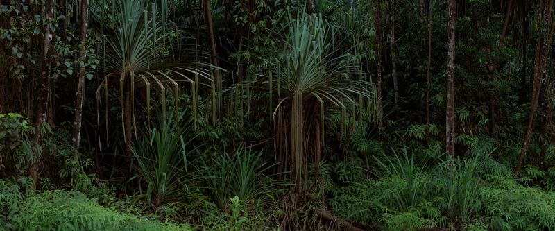 Davide Monteleone On His Exhibition Critical Minerals—Geography Of Energy At MUDEC