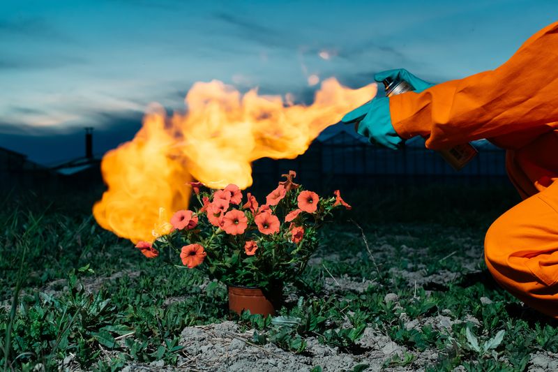 © Klaus Pichler, Return2Ithaca Residency Program