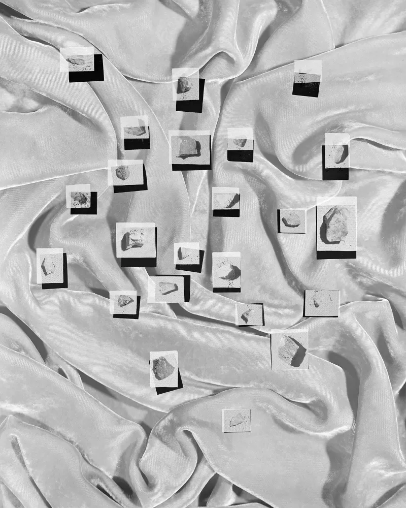 © Shawn Bush, Charta