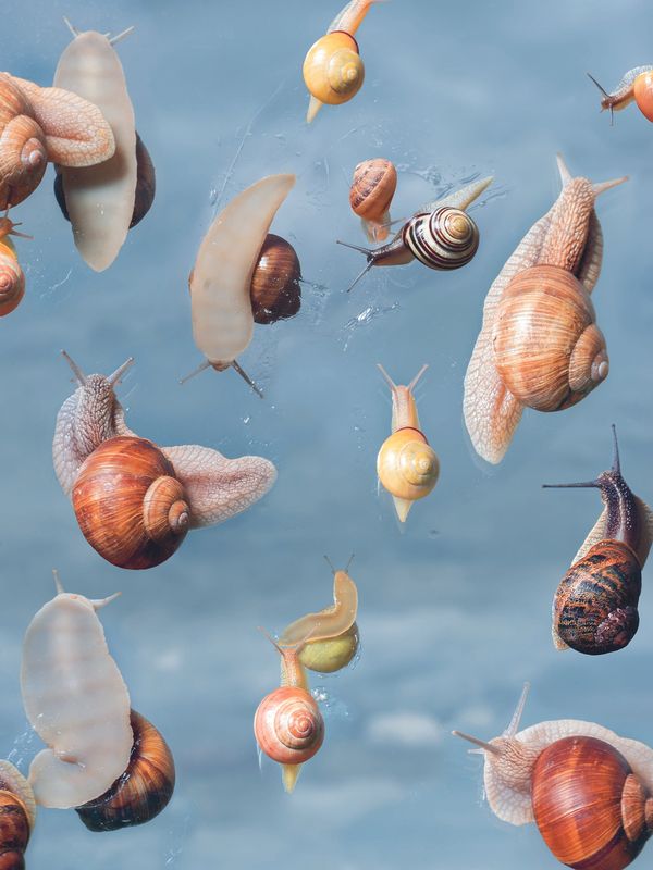 © Laurence Kubski, Les Rencontres d'Arles