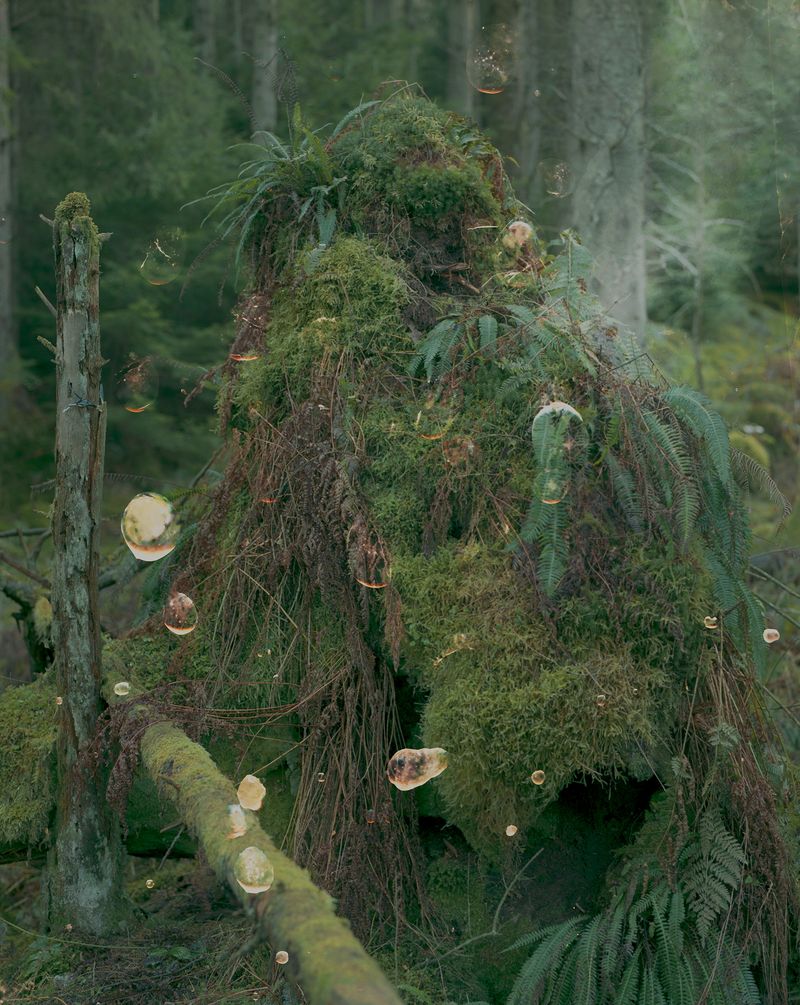 © Polly Tootal, PhMuseum Education Program