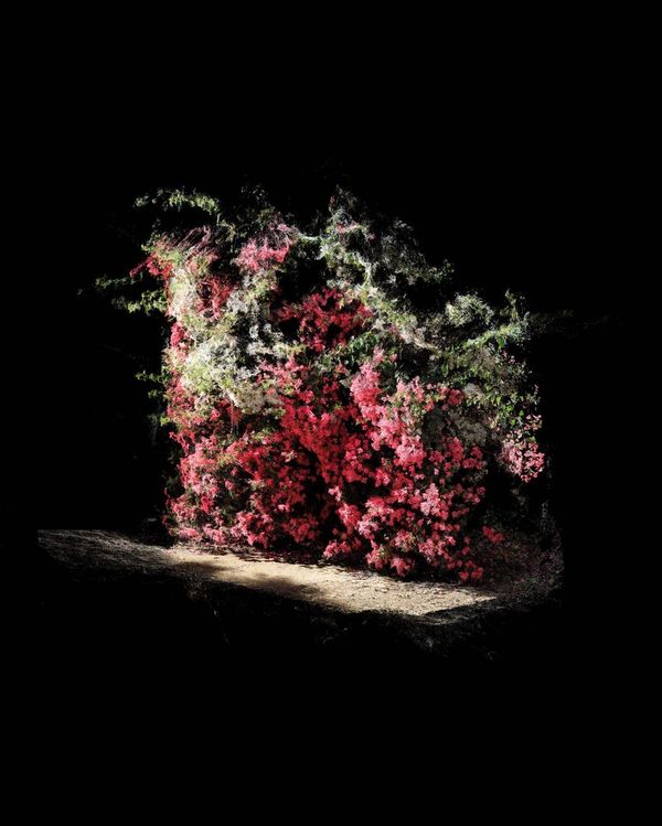 © Cristobal Ascencio Ramos, Open Panoràmic