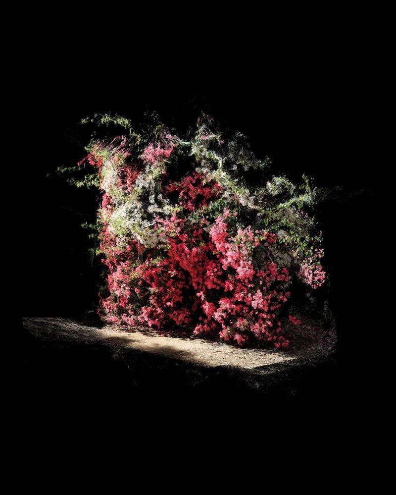 © Cristobal Ascencio Ramos, Open Panoràmic