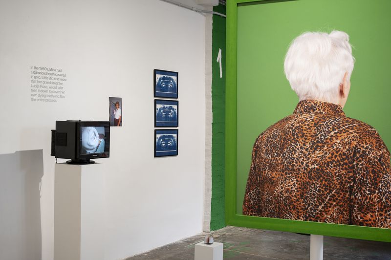 Lucija Rosc On Her Exhibition Six Stations And A Golden Tooth At PhMuseum Lab