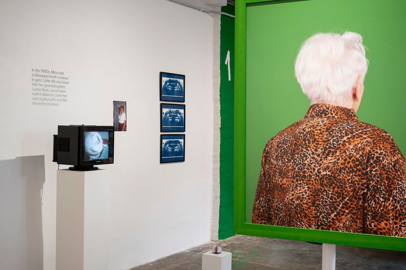 Lucija Rosc On Her Exhibition Six Stations And A Golden Tooth At PhMuseum Lab