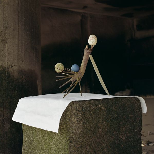 © Angela Blažanović, Earth Partner Prize